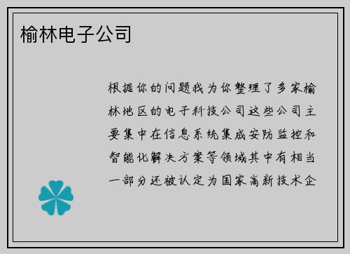 榆林电子公司