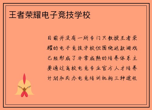 王者荣耀电子竞技学校